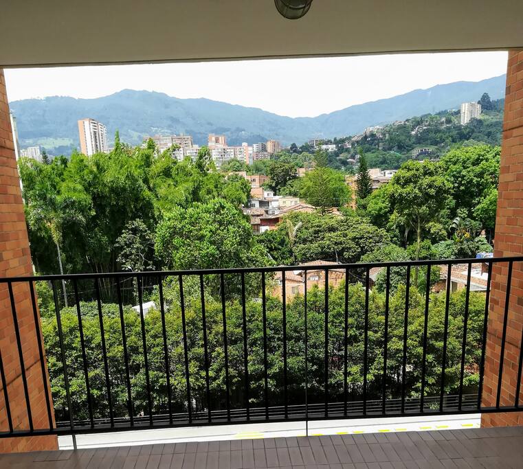 the building view