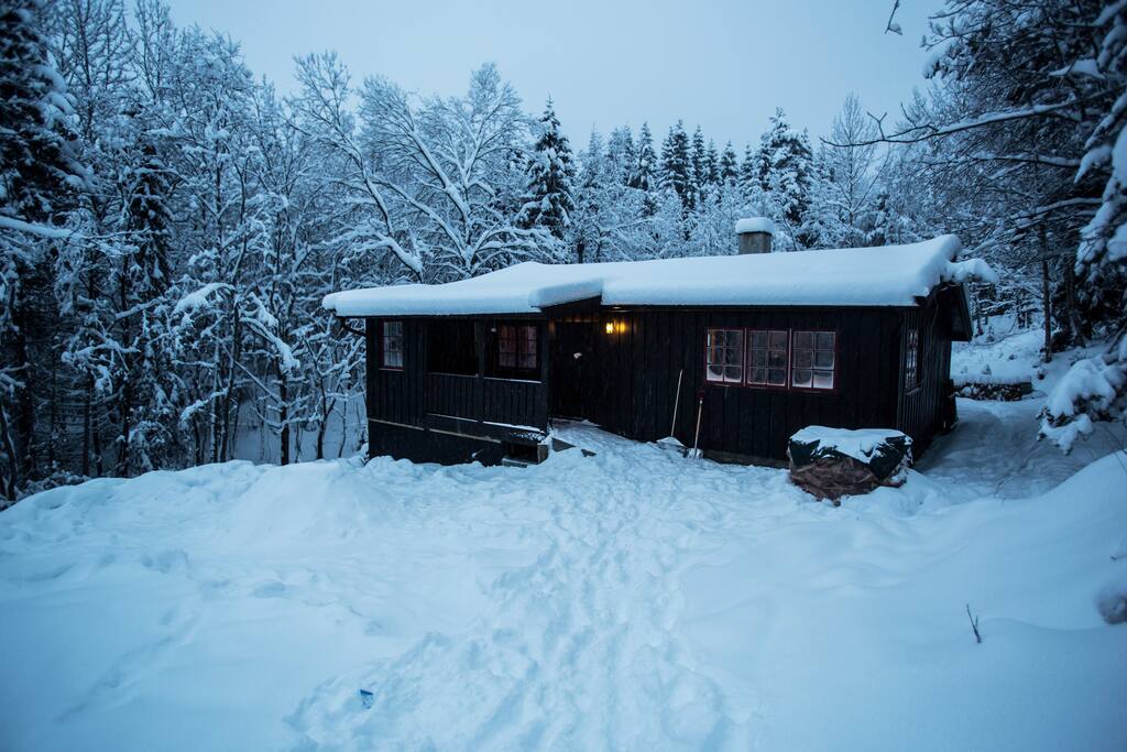Norwegian living Cabin in the forest of Oslo Cabins for Rent in
