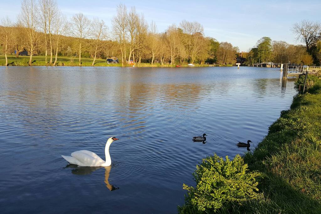 River Thames day time which is 5 min down the road to my house.