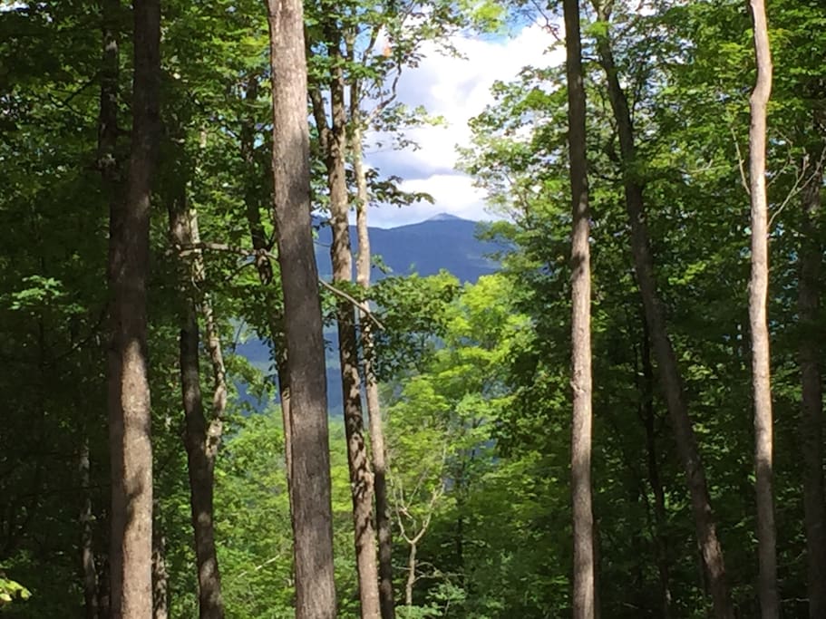 Deck view Whiteface in summer