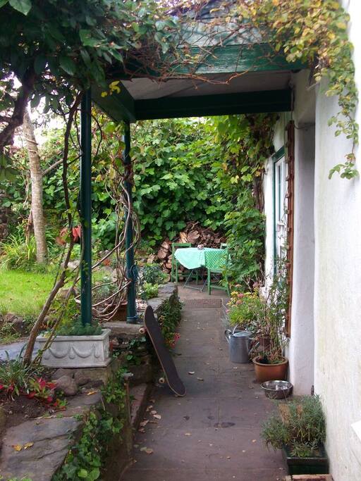 Outside table and chairs with fig and grape vines