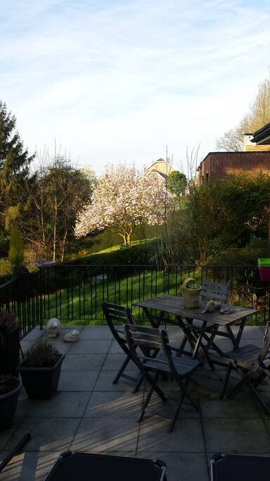 Terrace-spring