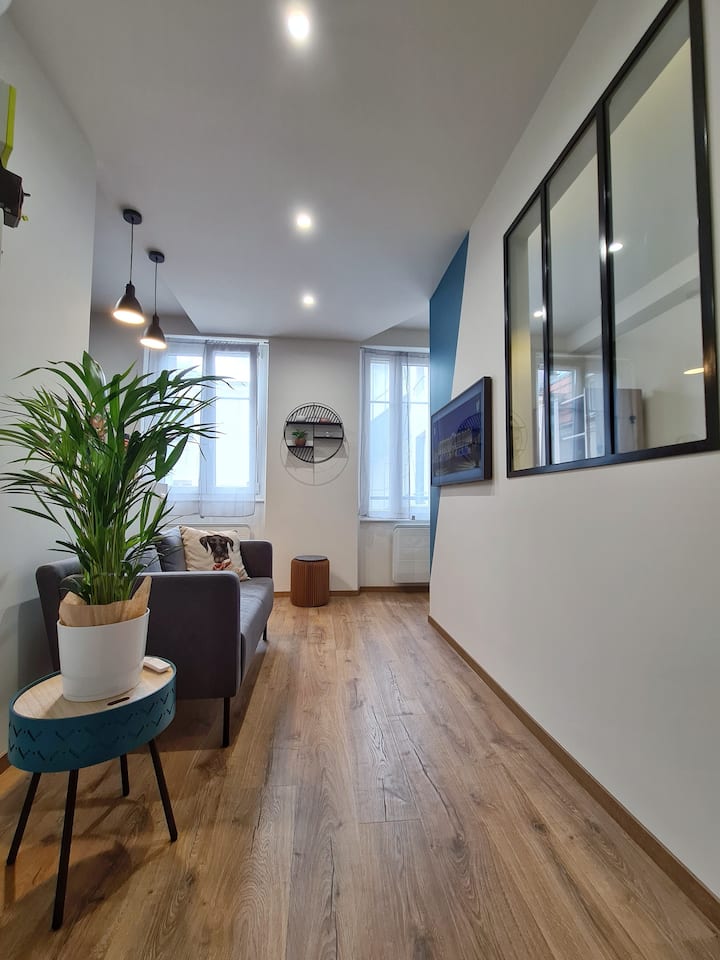 Charming apartment in the heart of Nancy Apartments for Rent in Nancy