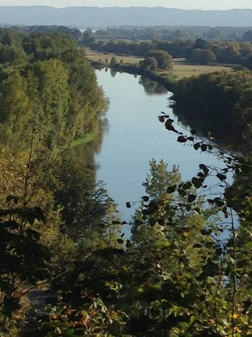 The view from the suite in summer