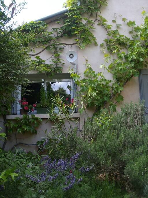 Charmant appartement en rez- de-jardin donnant sur le patio et la cuisine d'été