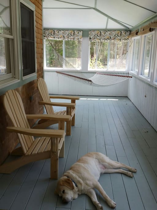 Front porch - lab not included