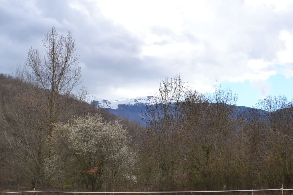 vue sur les monts d'olmes