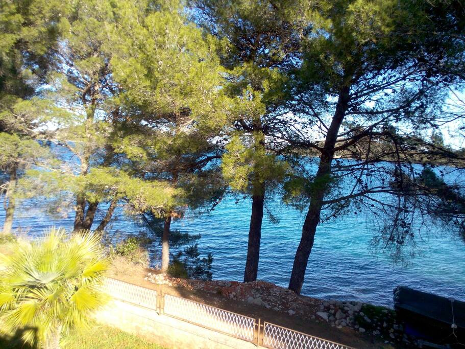 view from terrace