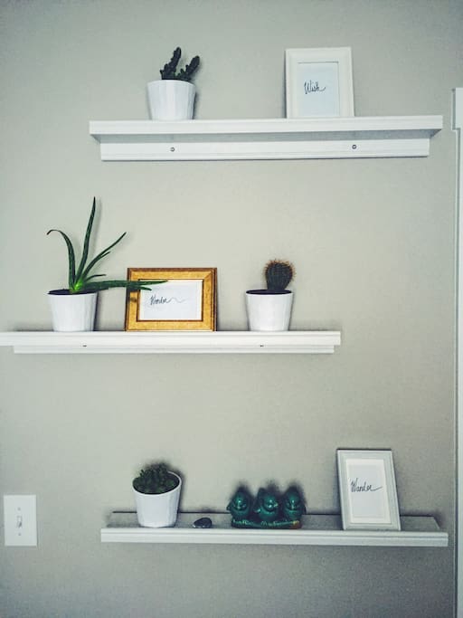 Room has multiple plants that help give it life.