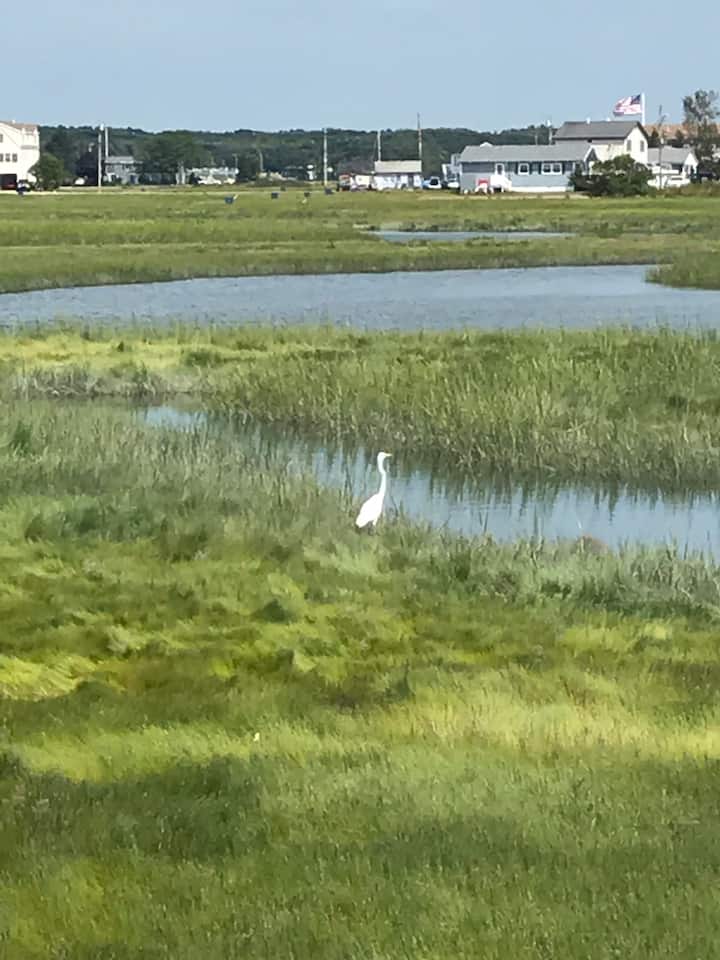 Quaint Beach House On Quiet Street - Hampton Beach, NH