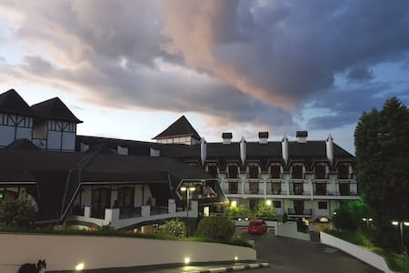 Campos Winter Place (ou Songs From The Wood)