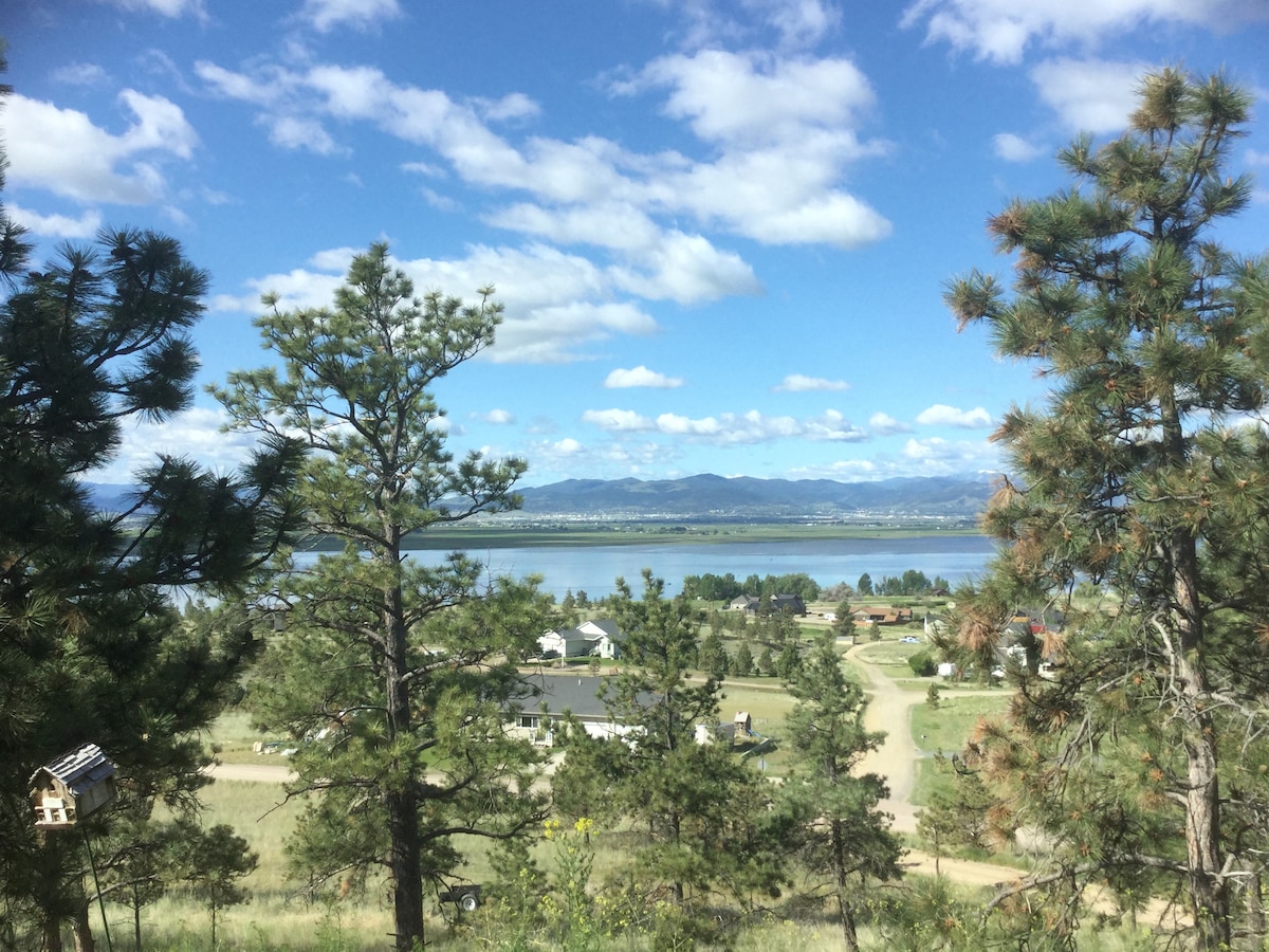 A scenic view of Lake Helena is framed by tall pine trees, reflecting a clear blue sky with scattered clouds. The landscape below reveals a mix of residential homes and open land, enhancing the natural beauty of the area.