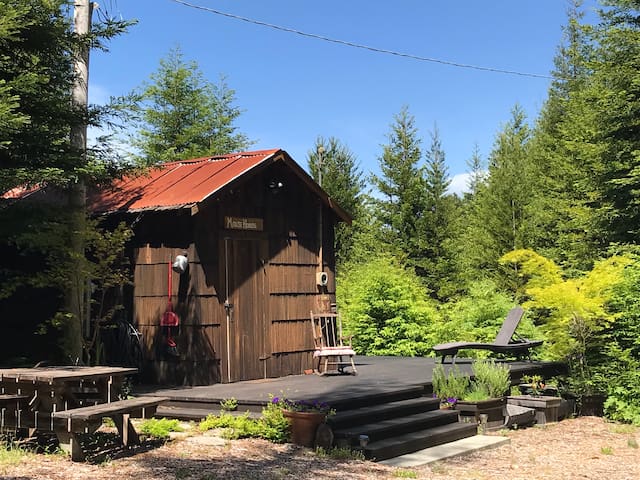 Charming 150 Yr Cabin In The Redwoods Cabins For Rent In Fort Bragg