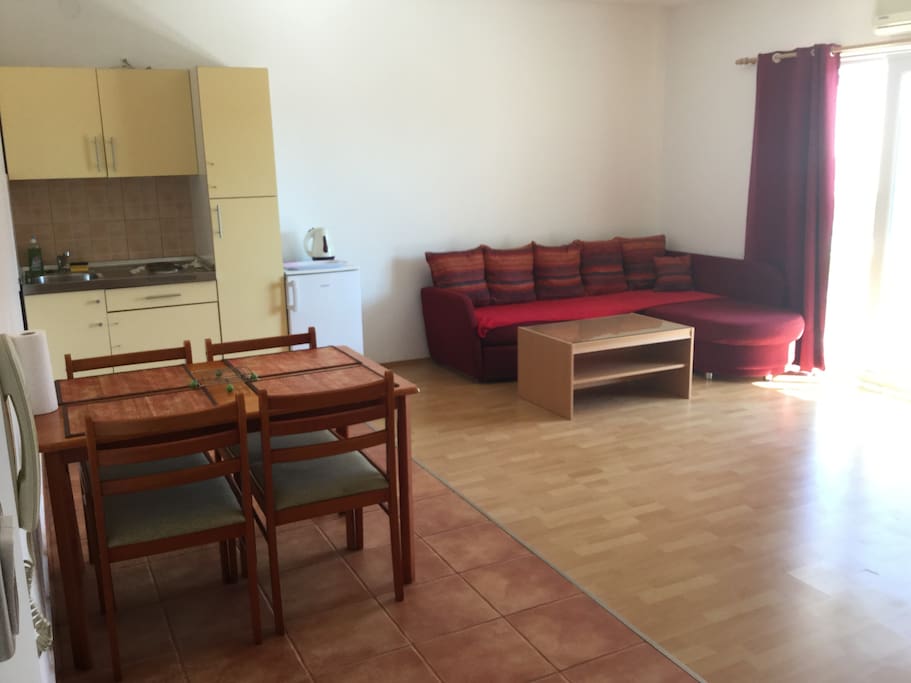 Small kitchenette equipped with basic necessities / living room sofa that serves as pull out couch