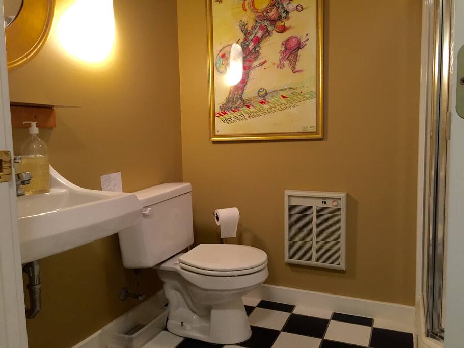 Private bath, with walk in shower.