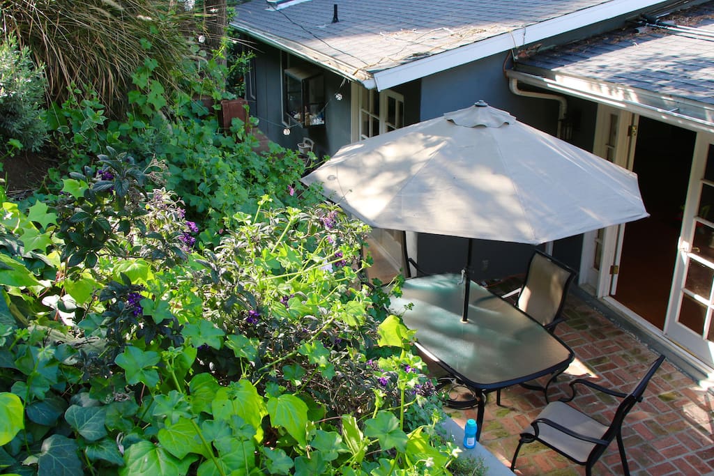 View from the top of the garden