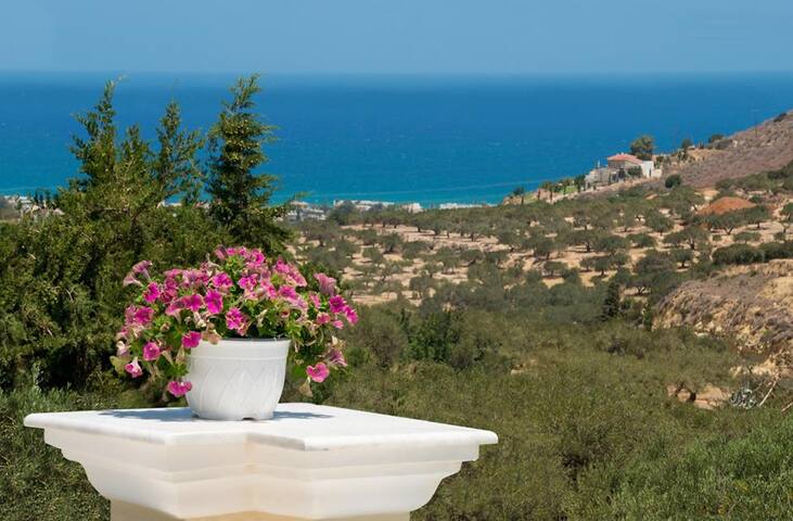 Villa Kokalis Resort gallery image 4