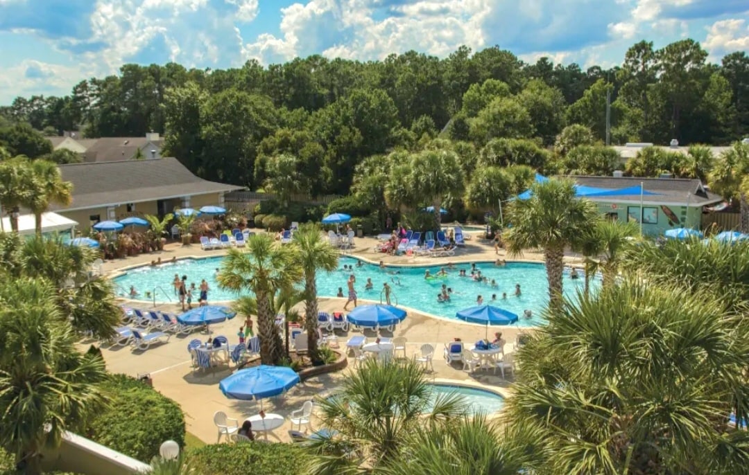 The outdoor pool area is surrounded by lush palm trees and features a spacious swimming pool with numerous guests enjoying the water. Blue lounge chairs and umbrellas are placed around the pool, providing shaded spots for relaxation.