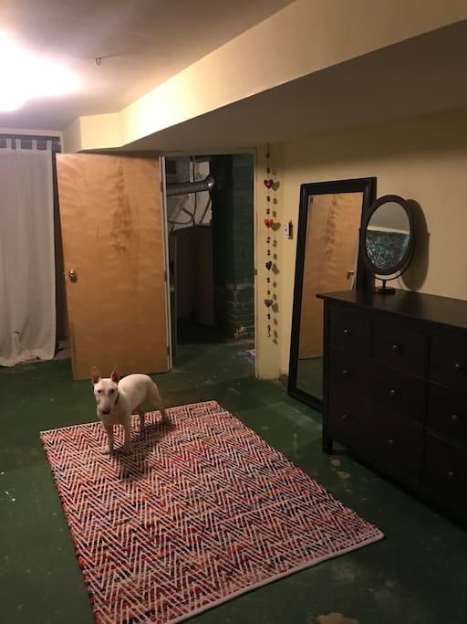 Sweet Leo dog. Don't worry he has his own room :)