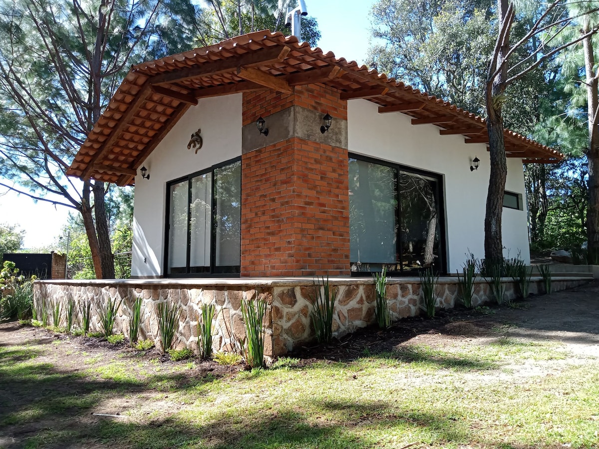 A charming cabin is framed by tall pine trees, featuring a combination of brick and white walls. Large windows reflect the surrounding greenery, while a stone foundation supports the structure. A landscaped area with plants enhances the natural setting.