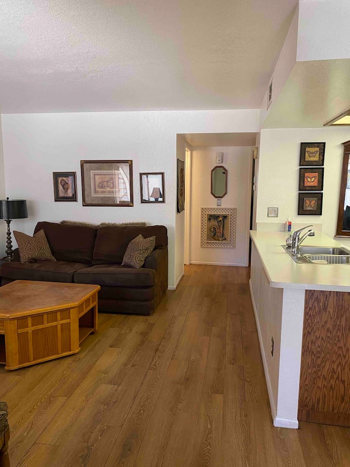 Cozy condo near Cubs/Angel training camps in Mesa