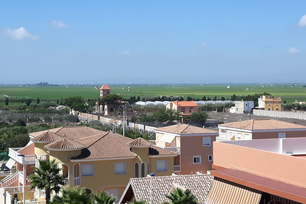 Views over the rice fields to the west from balcony
