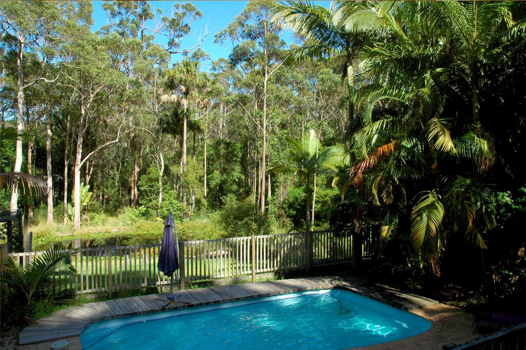 Take a dip!
