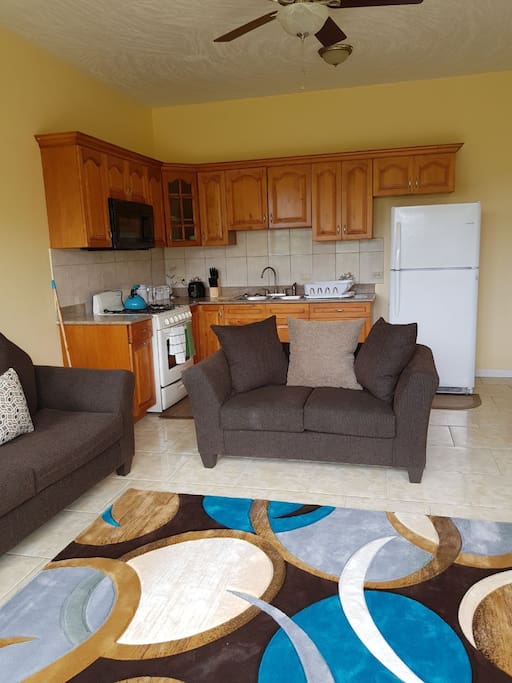 Kitchen / Living area