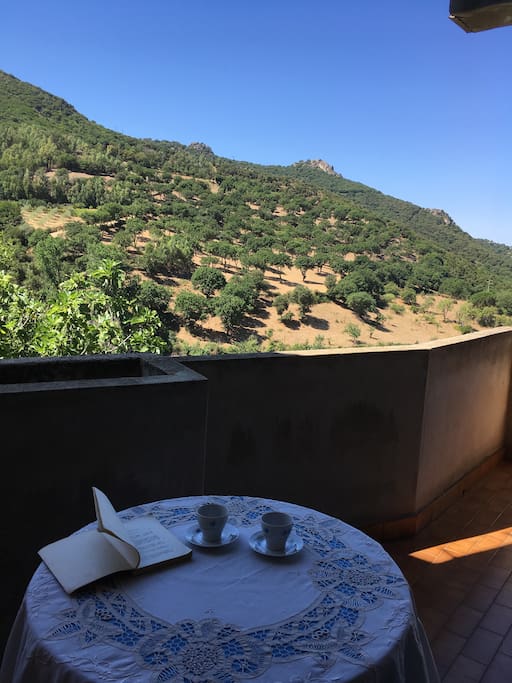 Vista dal terrazzo zona colazione