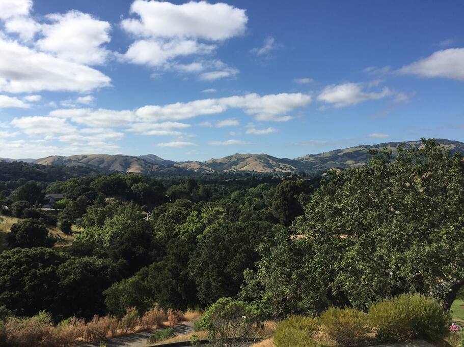 Whole Foods Novato Contact Whole Foods Novato Contact