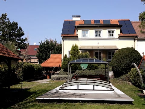 Bed & Pool