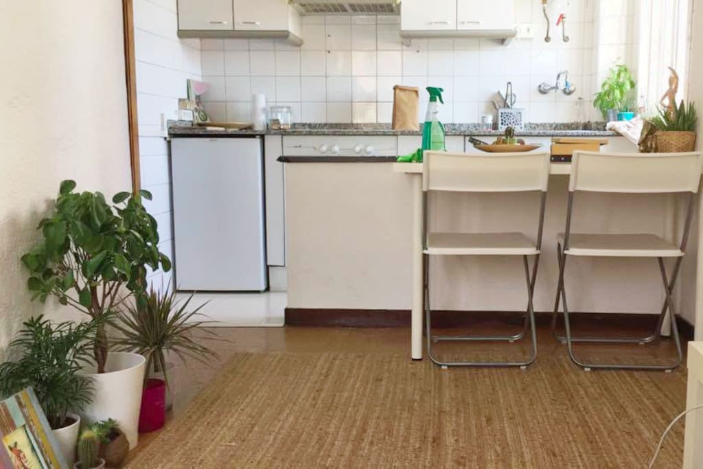 Living room/Kitchen
