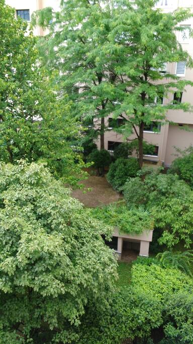 vue de la chambre (jardin intérieur de la résidence)