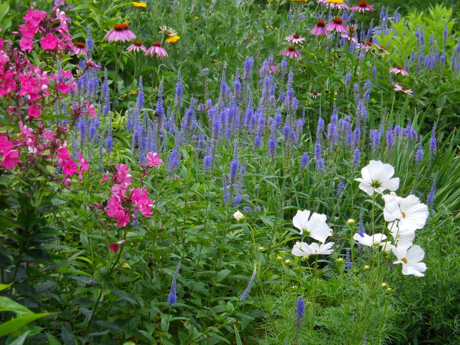 spring to fall, something's always in bloom