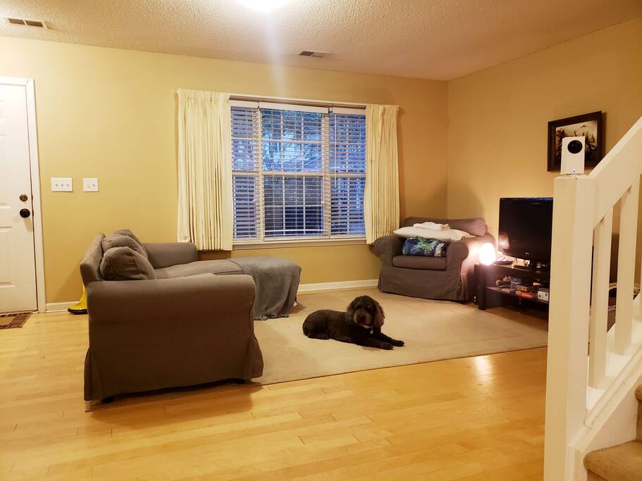 Shared/Open Space (unless area is booked)
