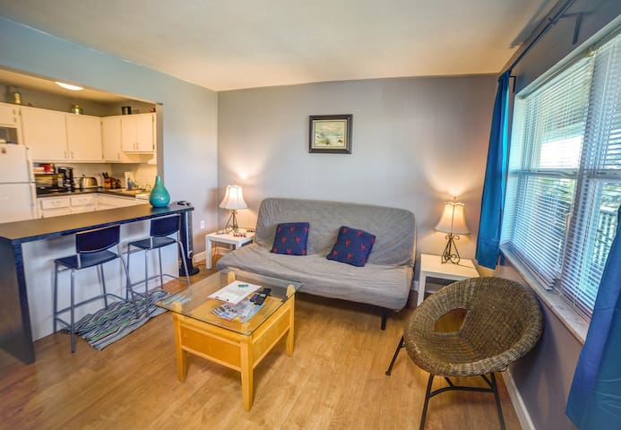 One Bedroom Condo in Clearwater Near Old Tampa Bay