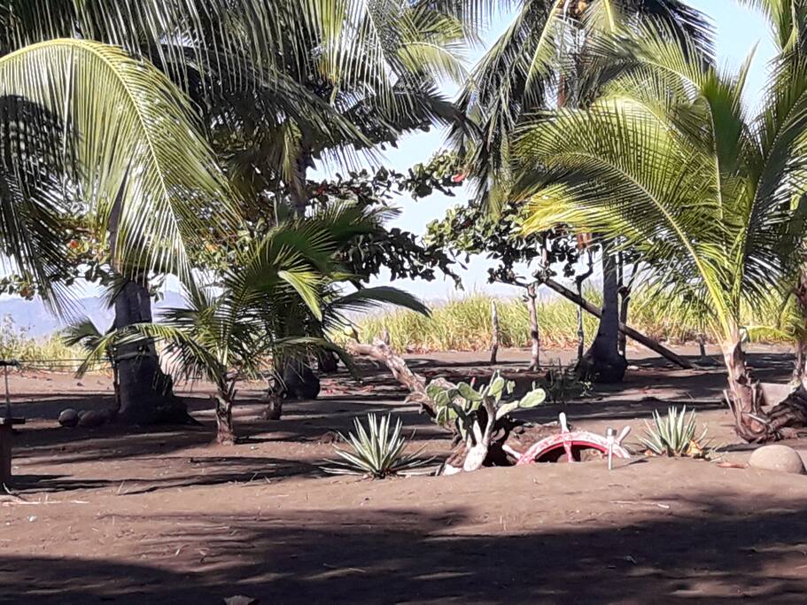 Le jardin