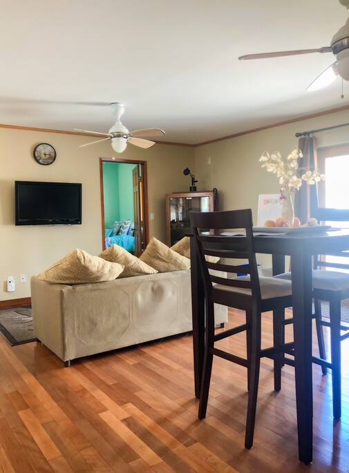 Living area with sofa bed and tv
