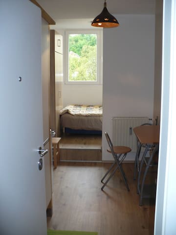Nice little studio in the heart of Ljubljana!