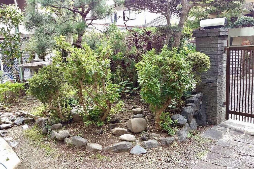 Japanese garden