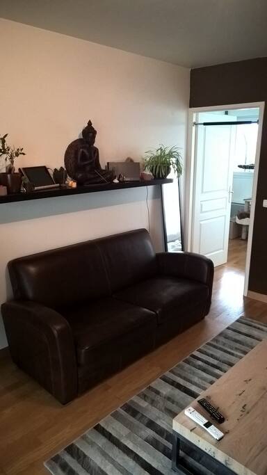 Salon (canapé, TV, internet, bureau...)