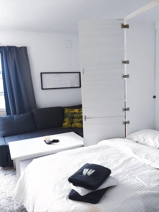 Comfortable Murphy bed (120 cm) folds out of the closet
