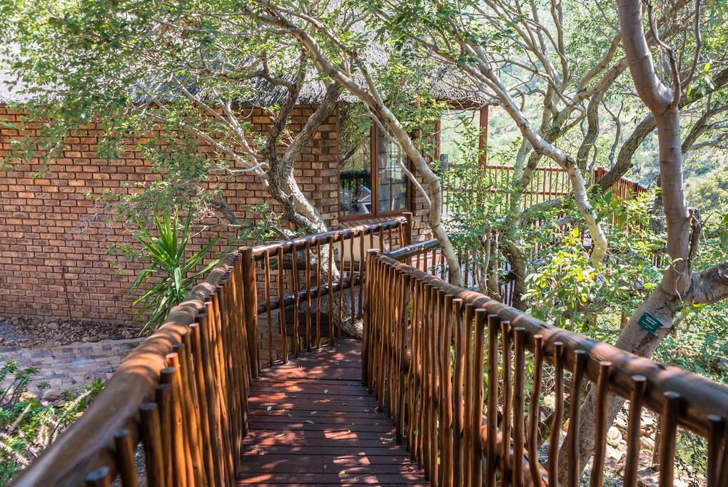 Pathway leading to flatlet