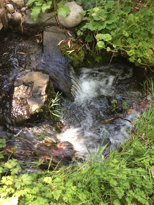 Northstream our year-round wild stream right outside your front door.