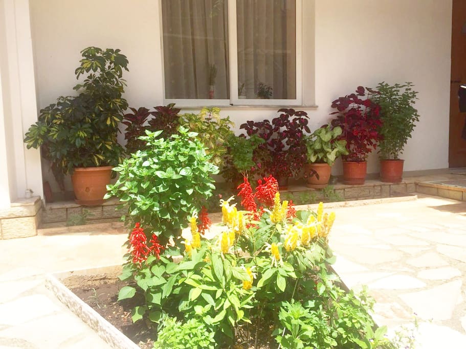 Yard view
