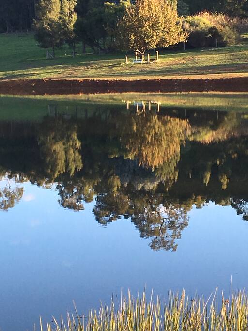 The Lake