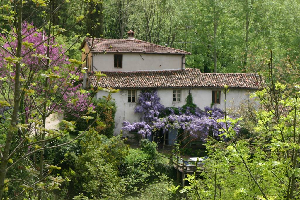 I colori
