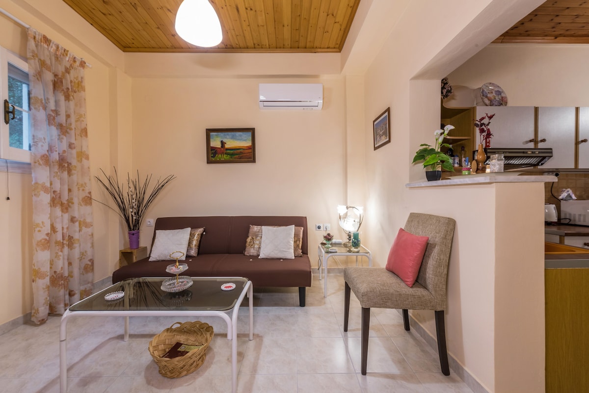 Sala de estar, la cocina está a la derecha. Cómodo para 4 personas, con aire acondicionado y TV.