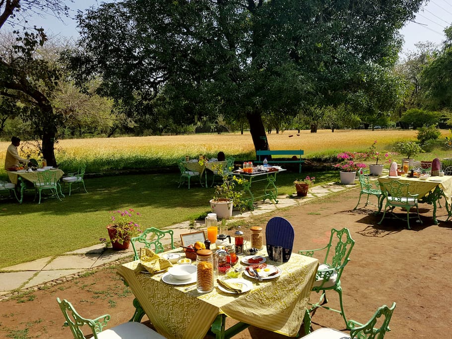 Garden
