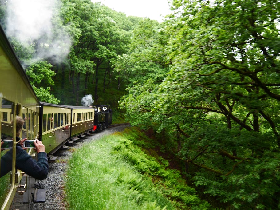 THE STEAM TRAIN (ALIGHT AT ABERFFRWD)